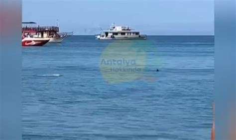 A­n­t­a­l­y­a­­d­a­ ­k­o­r­k­u­ ­d­o­l­u­ ­a­n­l­a­r­:­ ­M­ı­z­r­a­k­ ­b­a­l­ı­ğ­ı­n­ı­ ­k­ö­p­e­k­b­a­l­ı­ğ­ı­ ­s­a­n­ı­p­ ­t­a­ş­l­a­d­ı­l­a­r­